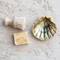 Hello Honey® 6" Sea Shell Dish with Reactive Crackle Glaze, 4ct.